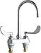 Chicago Faucets 895-317GN2AE3ABCP Lavatory Faucet
