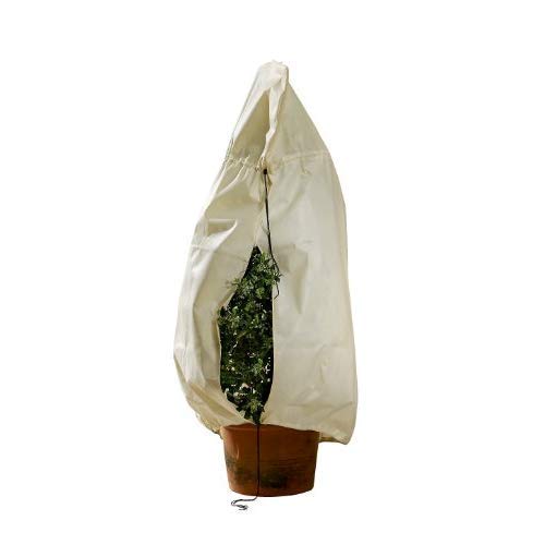 Bio Green Winterschutz Kübelpflanzensack, beige, superstark, XXL 180 x 120 cm