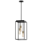 LUTEMA Lámpara Para Techo | Estilo Colgante | 3 Luces | Iluminacion Diseño De Enjaulada Negra Para Cocina | Lámpara...