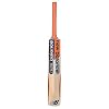 New Balance DC 380 Kashmir Willow Cricket Bat with Cover - Short Handle(Full Size), Multicolour