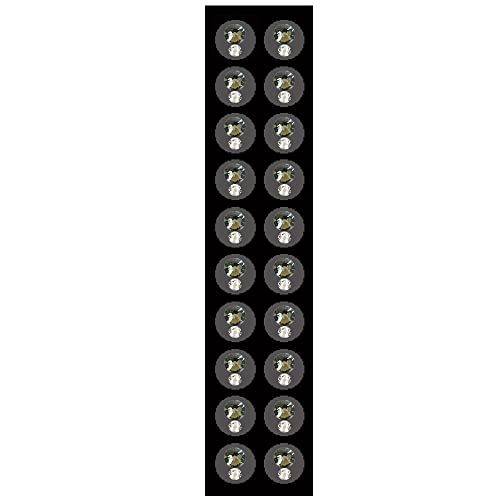 EuA `^ ڃWG[ Eh2A 20 fUCWG[ NX^KX ڐt _CGbgV[ (ubN_Ch)