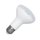 Flujo luminoso: 990lm ledbox Bombilla LED E27, R80, 12W, Blanco frío