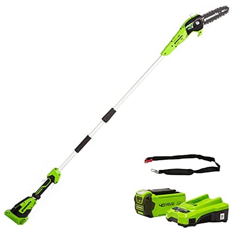 Greenworks G40PSFK2 Cordless Pole Saw with 20cm Bar Cover