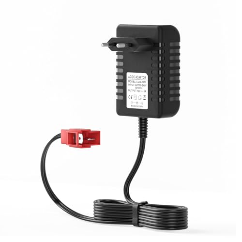 Chargeur de batterie 12 V pour enfants - Compatible avec BMX X6, Kid TRAX GMC, Wal-Mart, Moto ATV Quad