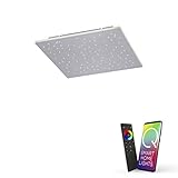 Paul Neuhaus Q-NIGHTSKY 8039-95 LED Deckenleuchte, Alexa kompatibel Smart Home, dimmbar per Fernbedienung, warmweiß – kaltweiß, Sternenhimmel Panel