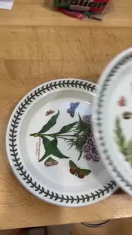 Amazon.com: Portmeirion: Botanic Garden