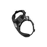 RC Pets Moto Control Pet Harness | Sturdy, Breathable & Multi-Use Harness for Dogs & Cats | Black/Grey, Medium