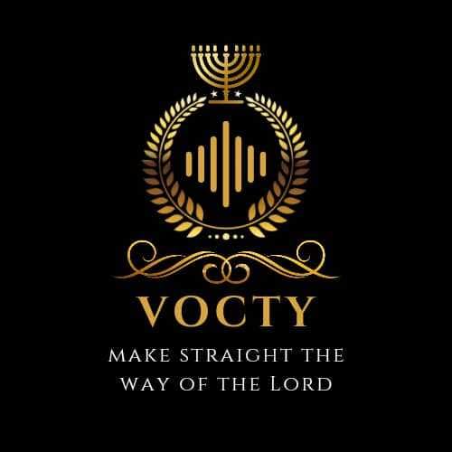 Couverture de VOICE OF THE YOUTH