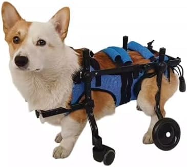 Chariot de marche pour chien handicapé - Fauteuil roulant 4 roues taille S/M
