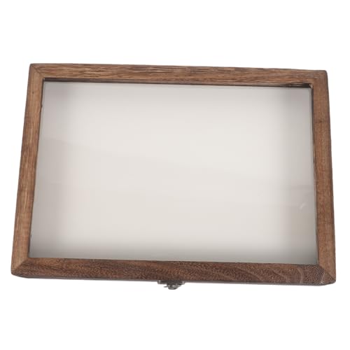 HOLIDYOYO Vintage Insect Display Box Acrylic Case for Butterfly Specimen Wall Hanging Storage Style