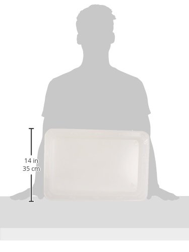 PetRageous 55142 Bone N Up Non-Slip Clear Plastic Dog Feeding Tray 19.125-Inch by 13.125-Inch for Dogs and Cats, White