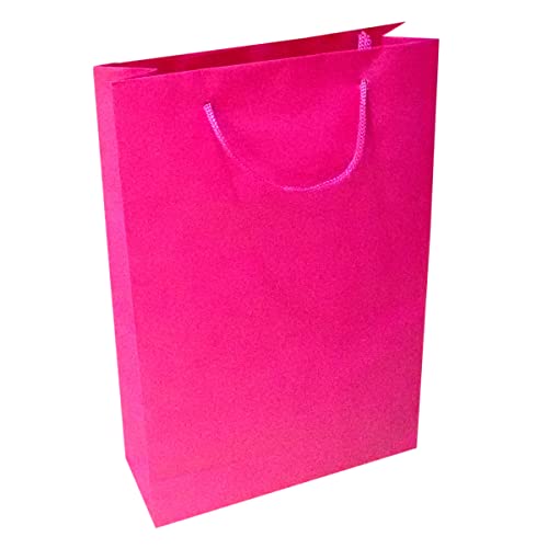 Sacola de Papel para Presente Tamanho 25x17x6 cm Coloridas Escolha a cor e a quantidade, para embala