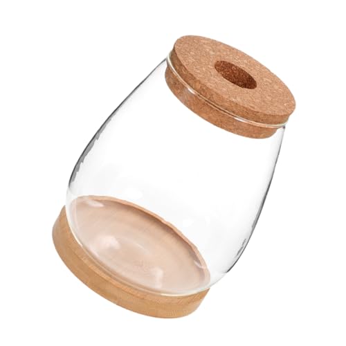 TOYANDONA Terrarium Verre avec Couvercle pour Micro-Paysage Bouteille Transparente pour Plantes Mousse Contenant Décoratif pour Intérieur