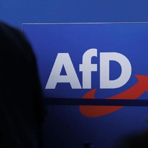 Verfassungsschutz stuft AfD als gesichert rechtsextremistisch ein - Ricko's Chanal News
