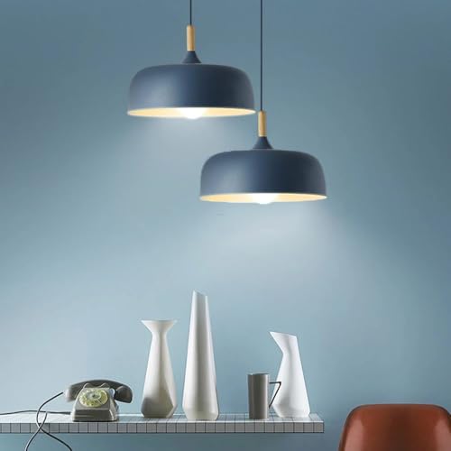Lustre de luxe à tête unique luminaire suspendu minimaliste base E27 - 6