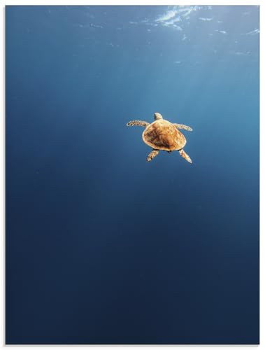 ARTland Wanddeko Glasbilder Wandbild Glas Bild 45x60 cm Natur Ozean Meer Tiefe Schildkröte Ruhe Minimalismus U5IS