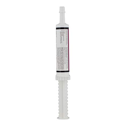 Animal Health Solutions - Electro-Probiotic Paste, Quick And Easy Source Of Electrolytes And Probiotics For Stressed Horses (30 Grams) #TOP1