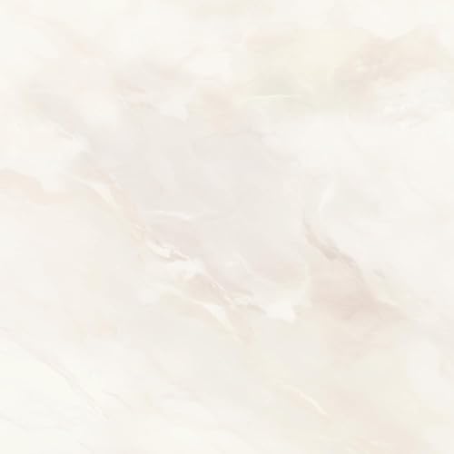 ǎ{ NbVtA tA^C  F`FbN u V[^Cv tAV[g 嗝  zCg Mon Sucrier CMS-VS01 y󒍐YiELZsz