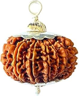 AstroCart चौदह मुखी रुद्राक्ष पेंडंट 14 Mukhi Rudraksha With Caping Round Shape Chaudah Mukhi Rudraksha Loose Beads 14 Fac... Price In India