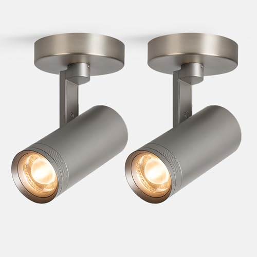 Image of Dimmable Zoomable Spot Lights Indoor Spotlight, 12W Adjustable Angle Ceiling Spotlights for Living Room, Corridor, Picture, Accent Lighting Brushed Nickel Finish - Warm White, 2 Pack
