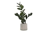 Monarch Specialties I 9500 Artificial Plant, 20' Tall, Zz, Indoor, Faux, Fake, Table, Greenery, Potted, Real Touch, Decorative, Green Leaves, Grey Cement Pot
