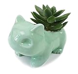 verzieren Sie Ihr Zuhause und machen Sie Ihr Zuhause einzigartig.