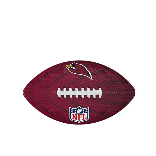 Image of WILSON Unisex NFL Team Tailgate Footballs