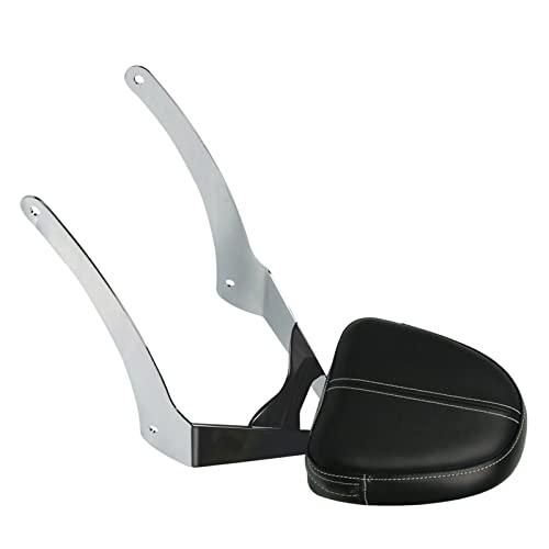 Barre sissy de dossier passager avec porte-bagages robuste et système amovible pour Scout