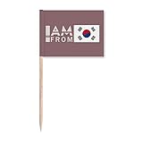 Contenu de l'emballage : 10 x drapeaux de cure-dents.