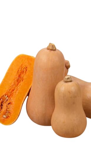 Desde Tu Terraza al Plato | DECOALIVE Semillas de Calabaza Cacahuete, Cultivo Fácil al Sol y Carne Suave para Recetas Caseras