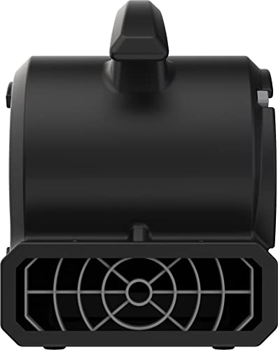 BlueDri Portable 1/8 HP Mini Multi-Purpose Air Mover Blower Utility Fan for Home, Carpet and Floor Drying, Black, BD-VP-15-BK - image 8