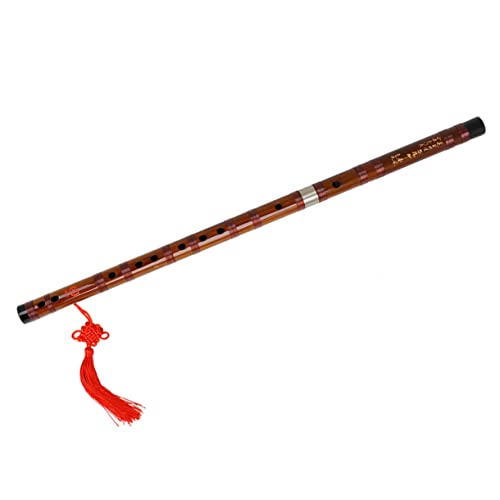 LOLIPPYY I wҗp  [{bNXt  Ŏ   fUC