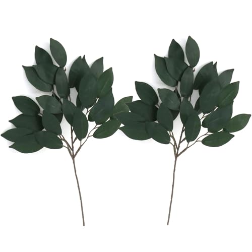 ܂    2{g _I _ ԍ h TJL Ԃ炸 ͂Ȃ