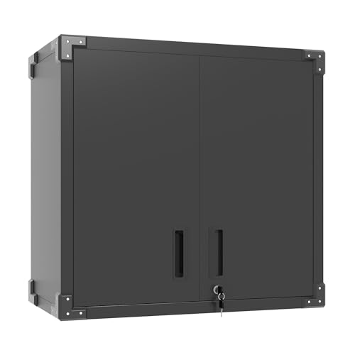 Bizoeiron Grauer Metall-Werkzeugschrank zur Wandmontage mit Schloss