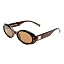 Cocoa Frame/Brown Lens