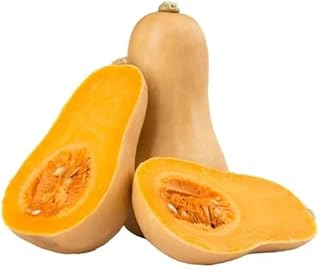 Fresh Butternut Winter Squash, 1 Pound