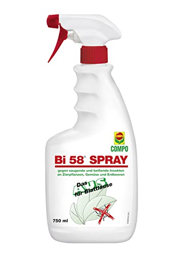 COMPO Bi 58 Spray gegen saugende und beißende Insekten an Zierpflanzen Gemüse und Erdbeeren 750 ml