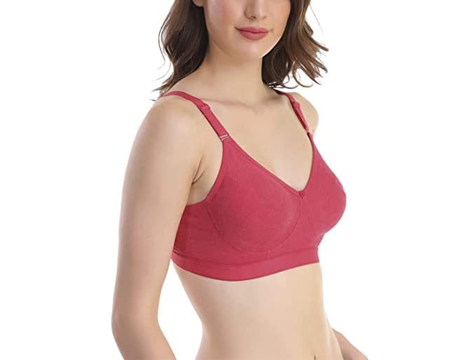 Image of SKDREAMS Blue & Brown & Purple-32D Cotton Blend Seamless Non Padded Non-Wired Full Coverage Pack of 3 Women T-Shirt Bra Combo
