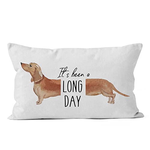 Hiwx It's Been A Long Day Pet Dog Dachshund Decorative Pillowcase Throw Pillow Cover, Funny Dachshund Dog Quote For Sofa Bed Room Home Couch Decor 12 X 20 Inch Pillow Case #TOP4