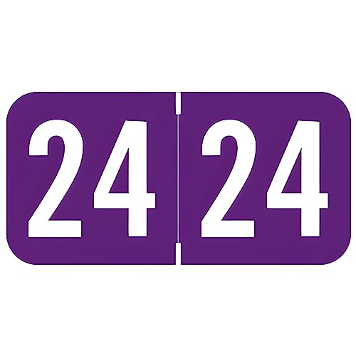 2024 Year Labels, Doctor Stuff, Purple Color Coded, S & W/Acme Style, USA Made Year Stickers for End Tab File Folders, 500/Roll, 1 Roll, 3/4