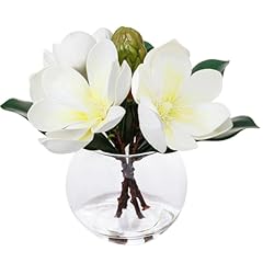 Magnolia White