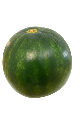 Baby Watermelon