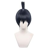 HIROAKIYA 早川アキ ウィッグ チェンソーマン 早川アキ コスプレ ウィッグ ウィッグネット付き 約30cm