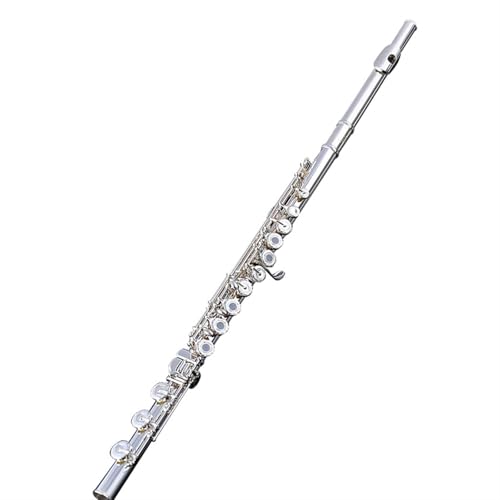 S҃t[g t[g 17 I[vƃN[Yh p vdl CL[ ⃁bL t[gy ϋv