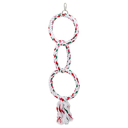 fuu RA[vO ݂艺 p[` ~܂   ^s XgX