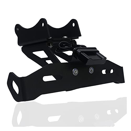 Support de plaque CBR1000RR-R en aluminium CNC avec éclairage LED haute finition