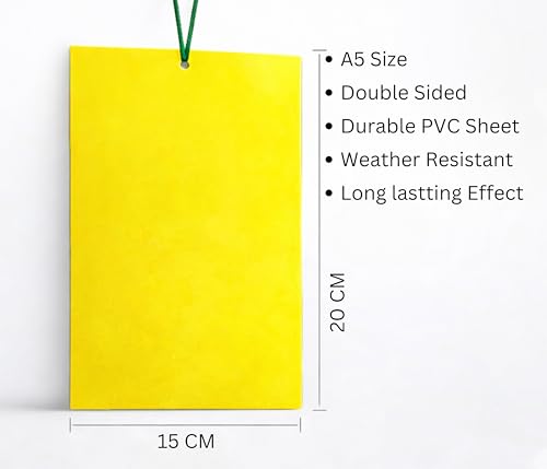 Image of Chipku A5 PVC Yellow Sticky Trap Pack of 25 for Insects | Powerful Eco Fly Glue Trap for White Fly, Aphids & Thrips | Chemical-Free Agriculture & Garden Pest Control