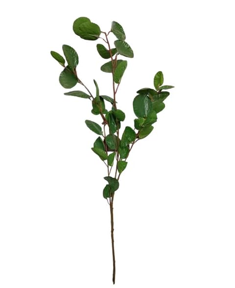 Image of PAPERI Artificial Flowers for Vase - Decorative Home Decor for Living Room, Bedroom, Office Table, Centerpiece & Wedding Decoration (Eucalyptus) Pack of 3 Stems
