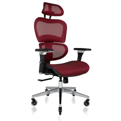 Nouhaus Ergonomic Office Chair with Lumbar Support High Back Mesh Desk Chair Best Desk Chair for Long Hours Adjustable Headrest and 4D Arms SGS Certif