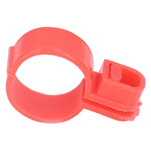 Chicken Leg Bands, Buckle Design Chicken Id Bands Tpu Material Easy Installation Bright Colors For Chicken Quail (L) #TOP2